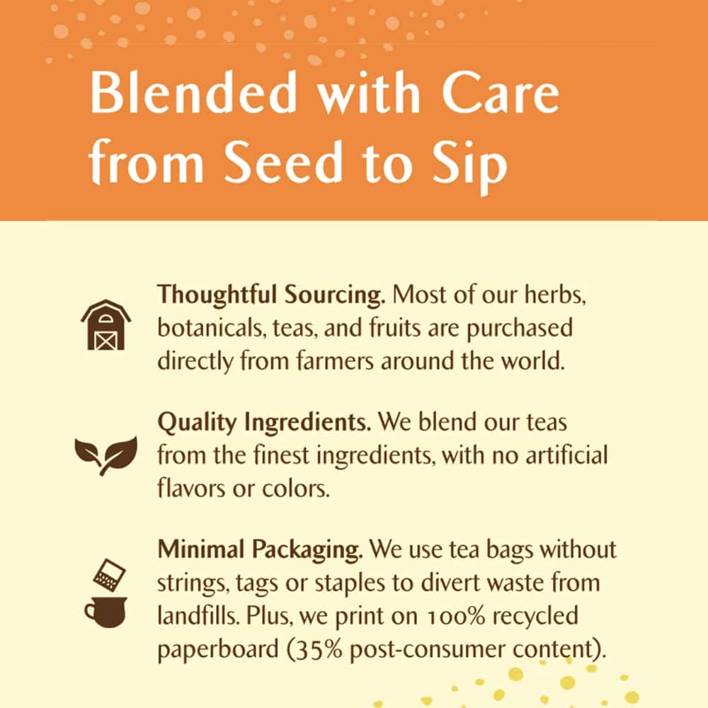 Celestial Seasonings Holiday Tea - Gingerbread Spice - 20's