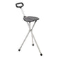 Drive Cane Seat