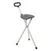 Drive Cane Seat