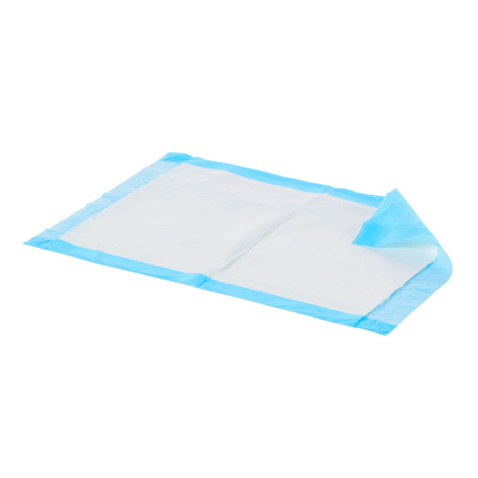 Disposable, Heavy Absorbency Underpad, Blue, Unisex