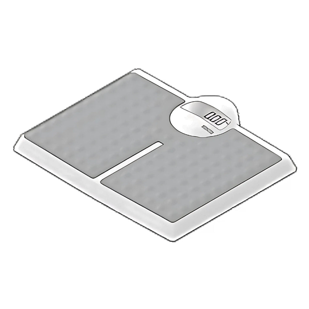 Digital Floor Scale SECA 813