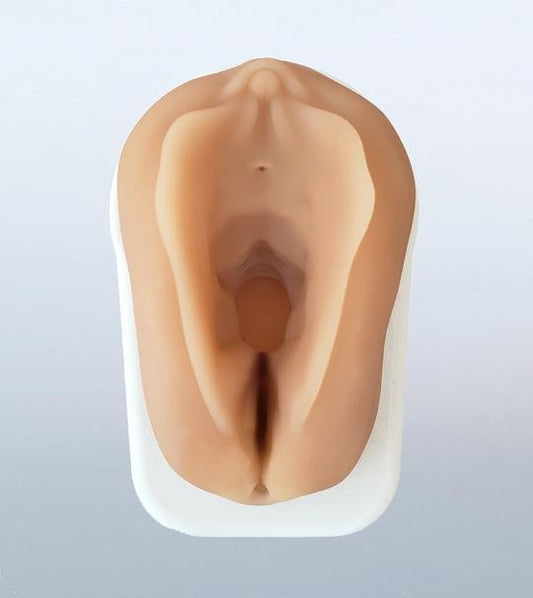 Obstetrics Anal Sphincter Injury Suturing Model ~ DISCONTINUED