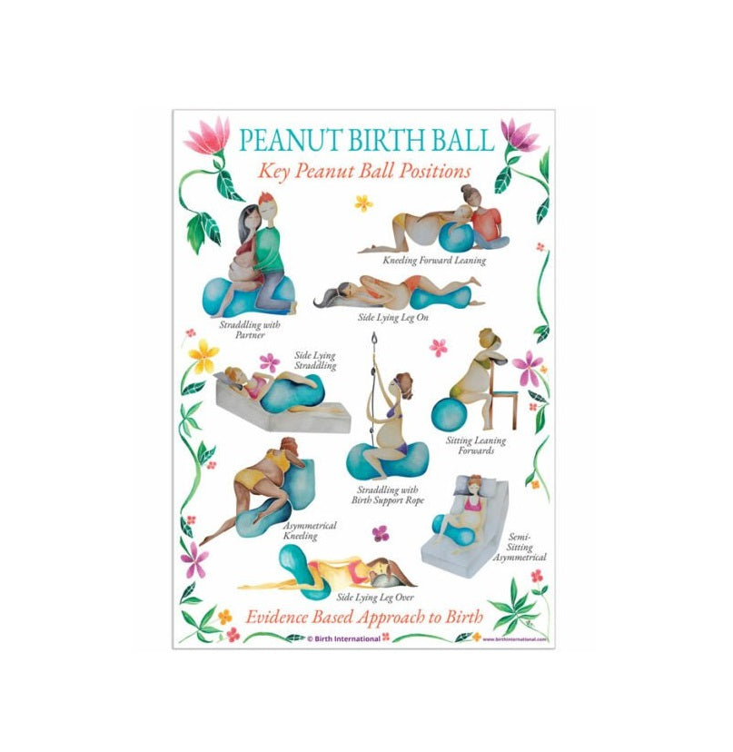 Peanut Ball Chart