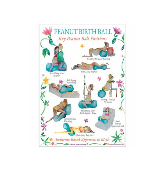 Peanut Ball Chart