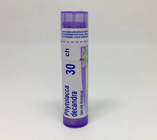 Phytolacca 30CH ~ for Breast Issues