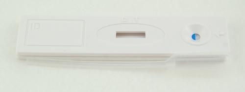 Pregnancy Test Cassette