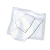 Tranquility ThinLiner Moisture Management Absorbent Sheets