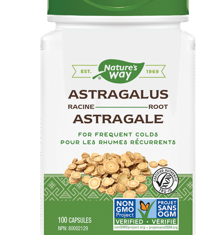 Nature's Way: Astragalus Root