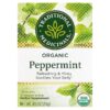 Traditional Medicinals Organic Wrapped Tea Bags - Peppermint - 16's