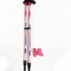 Urban Poling: 4Life Fitness Poles, Pink