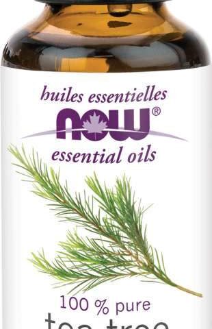 NOW: Tea Tree Oil Essential Oils