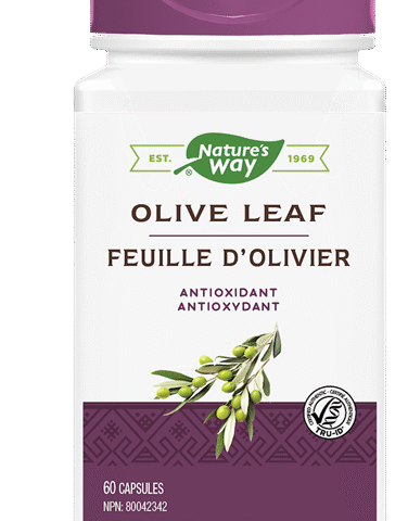 Nature's Way: Olive Leaf