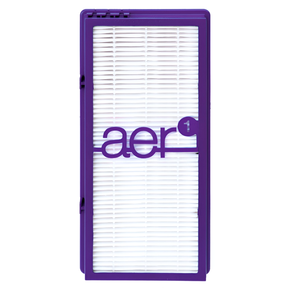 Bionaire® Permanent Air Purifier Filter (Per Each) - Friendship Day Health Products