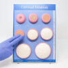 Cervical Dilation Model