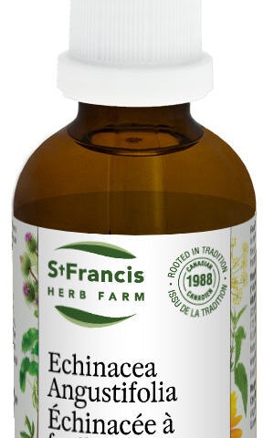 St. Francis Herb Farm: Echinacea Angustifolia