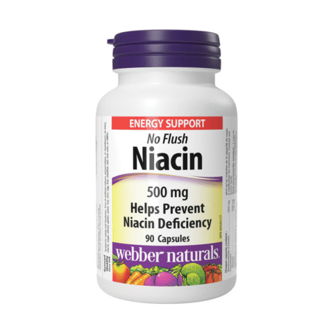 No Flush Niacin 500 mg