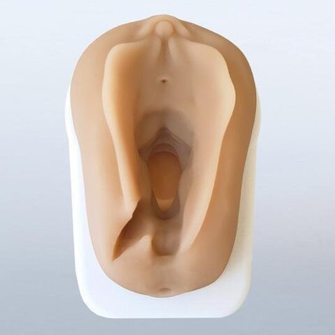 Perineum Injury Suturing Model
