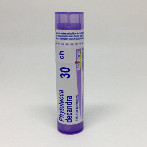 Phytolacca 30CH ~ for Breast Issues