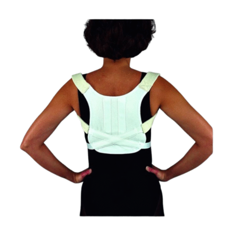 Posture And Clavicle Support, Universal, 44in - Ea/1