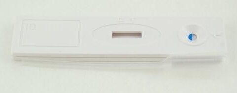 Pregnancy Test Cassette
