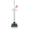 Seca 703 High Capacity Column Scale