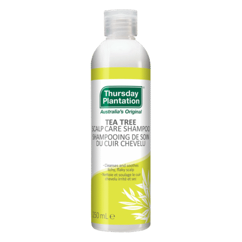 Thursday Plantation: Tea Tree Shampoo & Conditioner