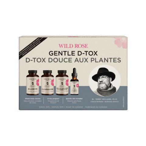 Wild Rose: Gentle D-Tox Program