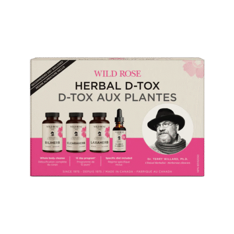 Wild Rose: Herbal D-Tox Program