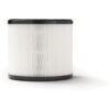 True Hepa Allergen Remover Filter
